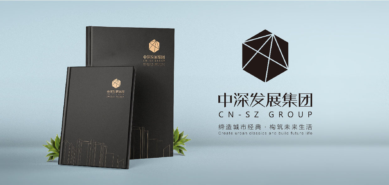 中深發(fā)展集團畫冊設(shè)計