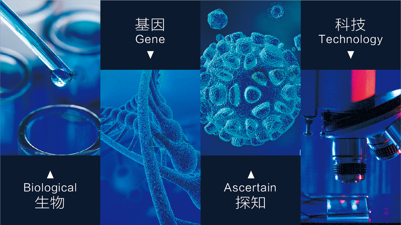 金爾康輔助圖形-16 金爾康輔助圖形-16