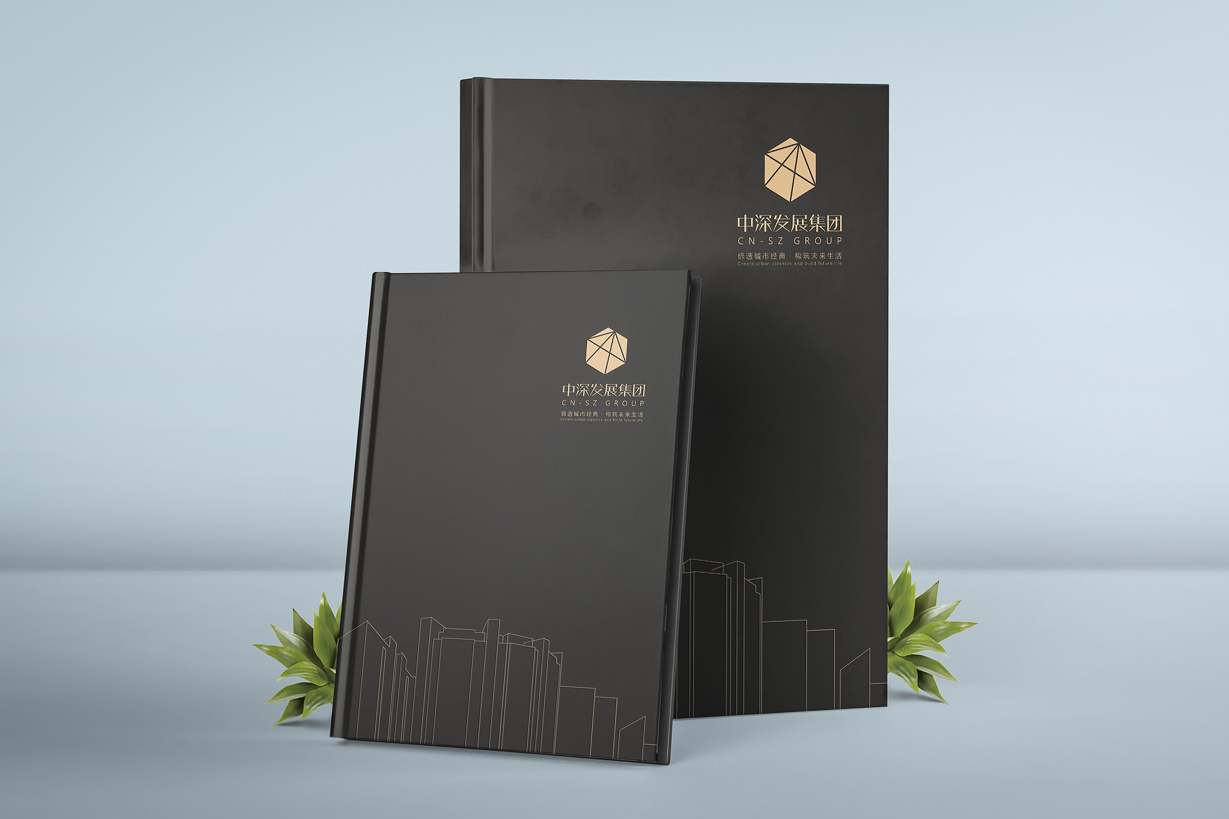 畫冊(cè)樣機(jī) 畫冊(cè)樣機(jī)